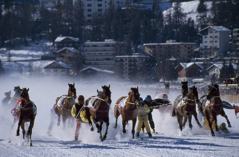 跑,横图,室外,锻炼,快乐,风险,比赛,运动,竞争,湖,雪,马,瑞士,冰,冬天,娱乐,休闲,滑雪场,摄影,迅速,雪橇,体育运动,冬季运动,获胜,体育,赛马,彩图,健身,策骑者,骑师,赛马骑师