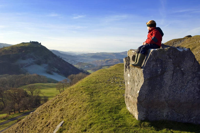 竖图,运动,竞争,摔跤,瑞士,欧洲,阿尔卑斯山,庆祝,会议,体育场,力量,摄影,打斗,群众,中欧,因特拉肯,彩图,传统文化