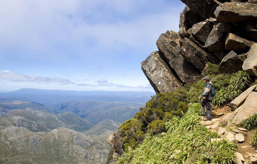 无人,横图,室外,夜晚,侧面,日落,地形,枝,树,黄昏,摄影,口香糖,塔斯马尼亚,剪影,桉树,彩图