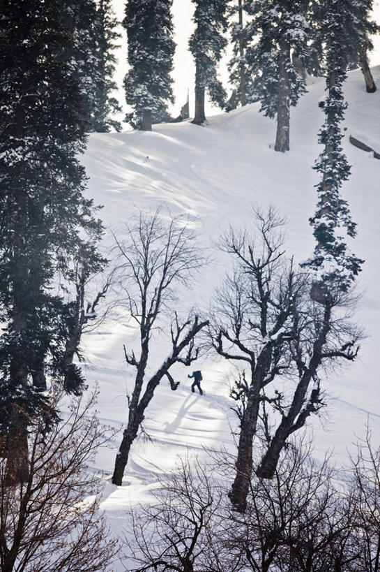 竖图,运动,山,印度,亚洲,车,交通工具,摄影,活动,雪橇,载具,南亚,雪橇车,喜马拉雅山脉,印度共和国,克什米尔,滑雪运动,查谟.克什米尔,查谟.克什米尔邦,彩图,旅行,喀什米尔,克什米尔地区