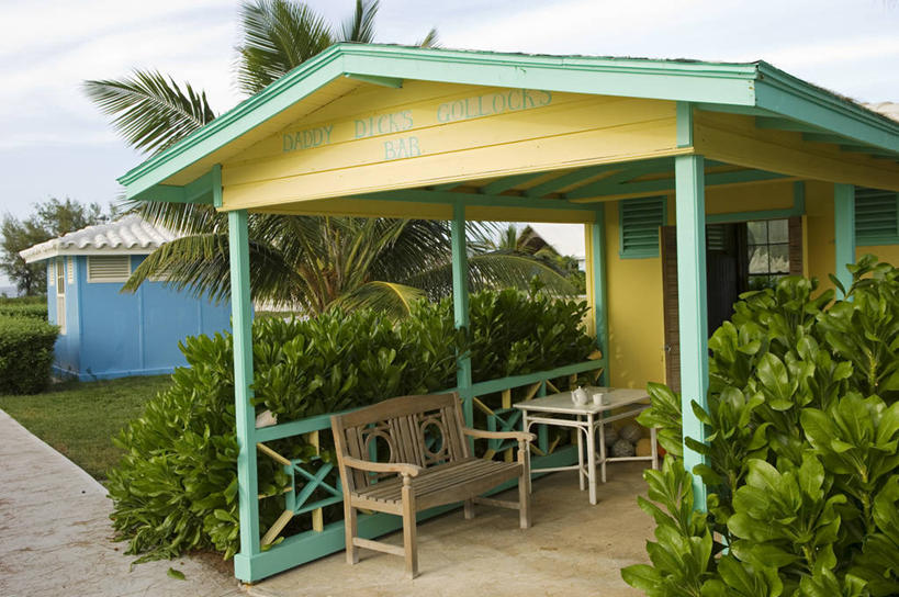 无人,竖图,植物,棕榈树,水果,岛,树,摄影,复叶,椰子树,彩图,巴哈马群岛