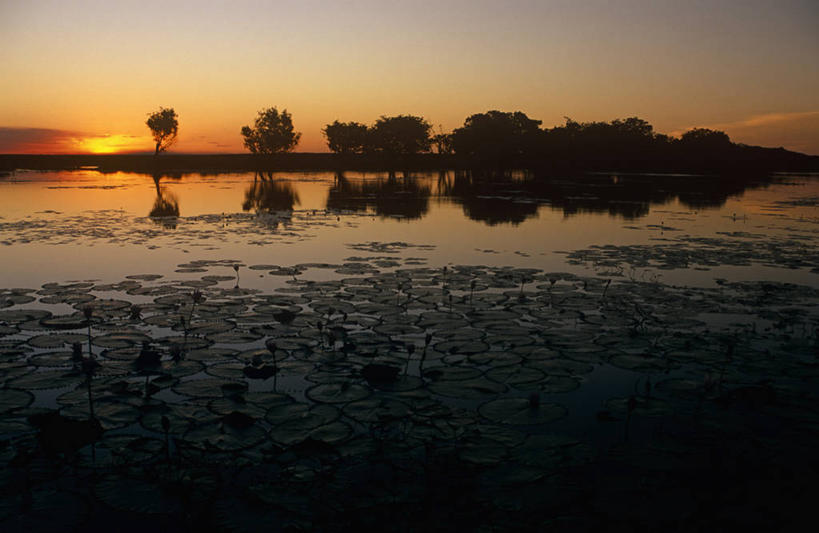 无人,横图,柠檬,岛,美味,食品,摄影,华贵,海产,彩图,巴哈马群岛