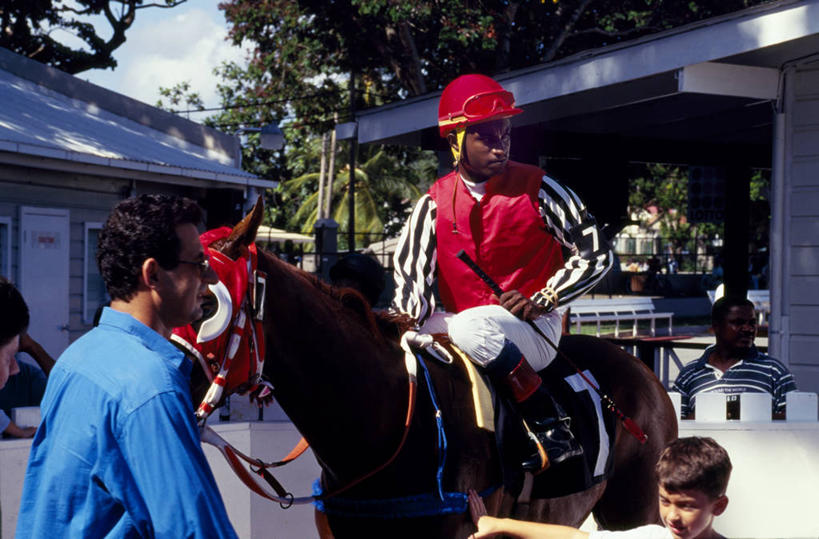 新郎,横图,锻炼,快乐,比赛,运动,竞争,马,巴巴多斯,娱乐,动物,休闲,摄影,西印度群岛,体育运动,带领,体育,赛马,彩图,健身,径赛,策骑者,骑师,赛马骑师