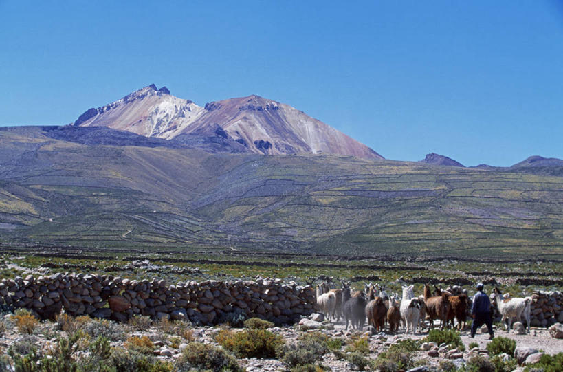 无人,教堂,竖图,玻利维亚,节日,十字架,拱门,文化,祈祷,健康,南美,许愿,摄影,宗教,信仰,纪念,祈求,神殿,基督教,拉丁美洲,宗教建筑,天主教,平安,彩图