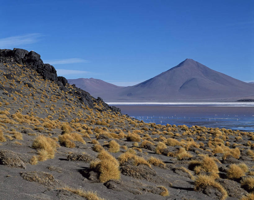 无人,横图,室外,湖,山,水,野生动物,玻利维亚,火烈鸟,鸟类,鸟巢,草丛,地形,草,红色,南美,摄影,考古学,藻类,拉丁美洲,科罗拉多州,安第斯红鹳,智利火烈鸟,安地斯山脉,地质学,矿物质,潟湖,彩图