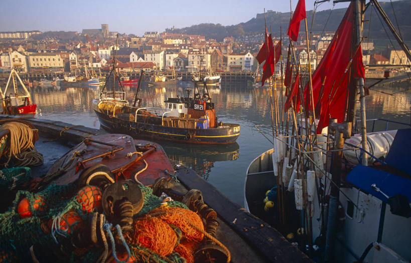 无人,码头,横图,渔业,港口,船,英国,欧洲,加拿大,海湾,历史,英格兰,工业,摄影,北美,北美洲,西欧,美洲,北亚美利加洲,亚美利加洲,安大略省,安省,北约克郡,彩图,旅行,摆渡口,埠头,渡口,渡头,港湾,海港,货运码头,口岸,商港,惠特比,杜林区