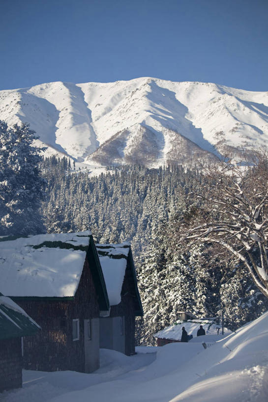 臀部,无人,横图,室外,哺乳动物,野生动物,印度,亚洲,尾巴,动物,摄影,活动,凶猛,独角犀,独角犀牛,印度犀,印度犀牛,阿萨姆,残暴,凶残,犀牛,彩图,旅行,大独角犀,郊野公园