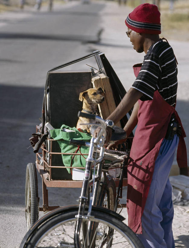 成年人,一个人,竖图,室外,路,自行车,宠物,狗,非洲,博茨瓦纳,仅一个男性,小狗,脚踏车,动物,摄影,男人,非洲人,彩图,马翁