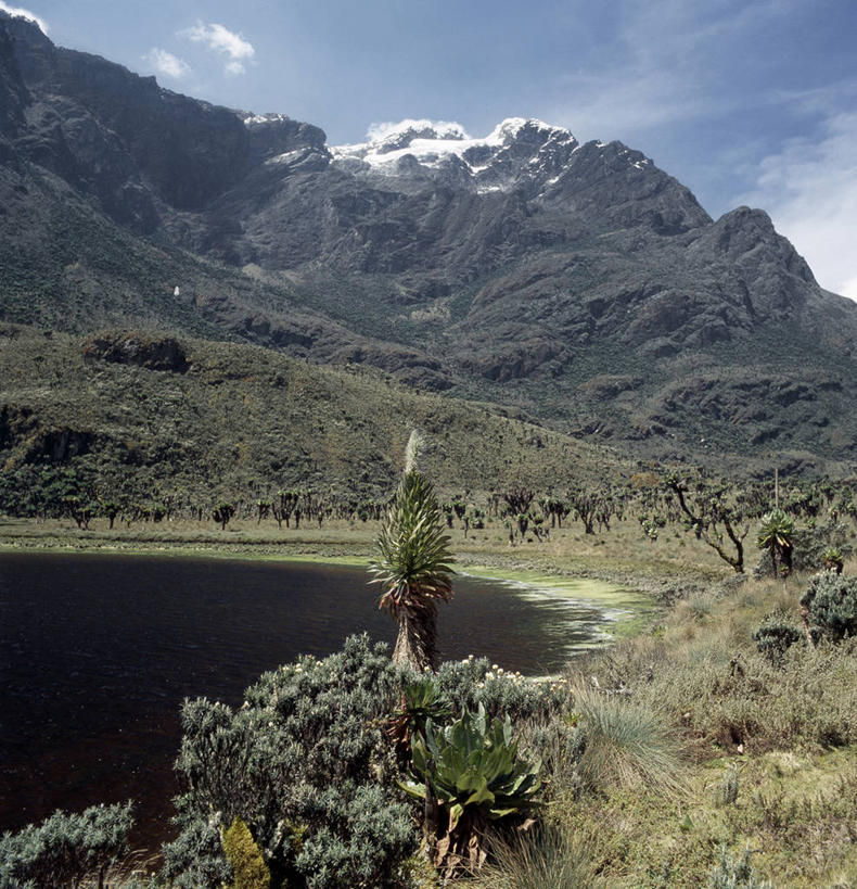 无人,竖图,非洲,乌干达,摄影,彩图