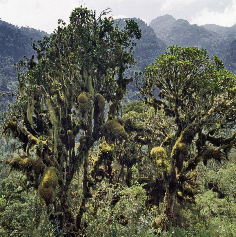 划船,横图,室外,运动,非洲,乌干达,刺激,波浪,摄影,活动,迅速,漂流,桨,碰撞,挑战,紧迫,彩图,骚乱