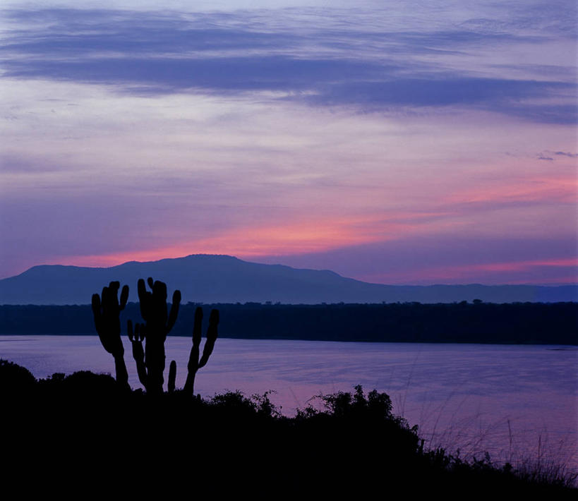 无人,横图,彩色,室外,湖,日落,水,非洲,乌干达,地形,浪漫,粉色,风景,天空,自然,黄昏,思考,安静,颜色,摄影,五颜六色,色彩斑斓,五彩缤纷,五彩斑斓,鲁文佐里山国家公园,五光十色,彩图
