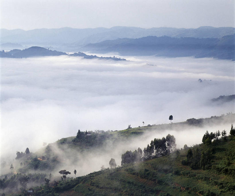 无人,家,横图,室外,森林,山,非洲,乌干达,房屋,屋顶,屋子,草屋,地形,顶棚,住宅,树,风景,茅草屋,翻滚,摄影,住房,彩图,房子,茅舍,茅屋,小屋