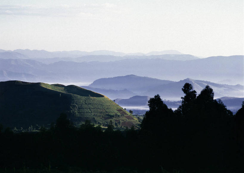 无人,农场,横图,室外,农业,梯田,农作物,火山,山,山脉,非洲,乌干达,地形,田地,陡峭,转,摄影,活火山,红土,彩图