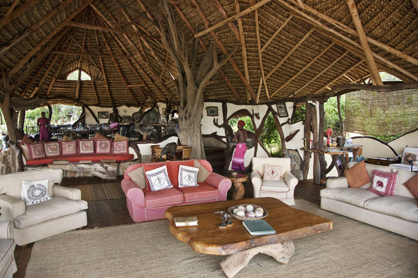 无人,横图,非洲,肯尼亚,花朵,树,红色,自然,摄影,凤凰木,彩图,旅行