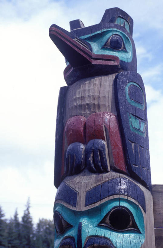 游泳,无人,横图,室外,河流,水,鲑鱼,日光,美国,鱼类,摄影,蛙卵,彩图,红大马哈鱼,动物行为