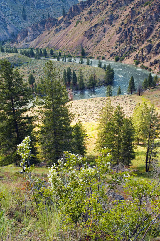 无人,横图,室外,旅游,度假,自由,河流,美国,活力,摄影,桨,休闲活动,彩图,旅行