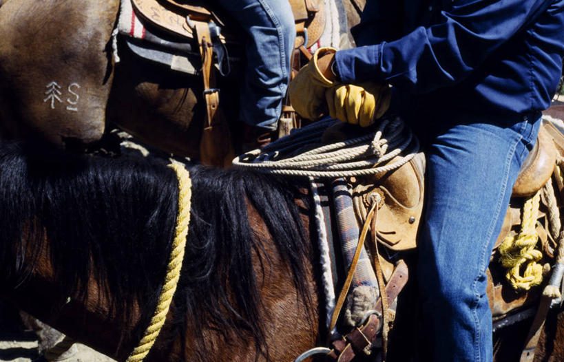 成年人,牛仔,横图,室外,美景,马,美国,景观,牛仔裤,休闲装,自然,绳子,手套,景色,摄影,缰绳,亚利桑那,自然风光,套索,男人,男性,彩图