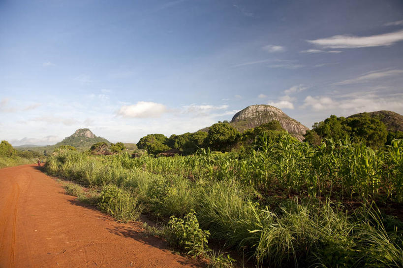 无人,横图,室外,森林,山,路,非洲,莫桑比克,地形,泥土,巨石,红色,露头,摄影,花岗岩,早晨,岩石,彩图,旅行