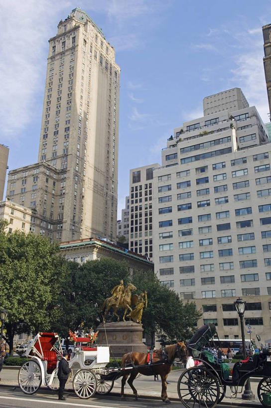 竖图,室外,度假,美景,城市风光,城市,摩天大楼,出租车,纽约,美国,景观,马车,曼哈顿,娱乐,车,交通工具,享受,休闲,办公大楼,景色,放松,运输,摄影,载具,中央公园,彩图