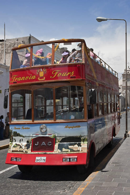 竖图,室外,火山,山,路灯,秘鲁,地形,树,南美,摄影,拉丁美洲,活火山,死火山,彩图,旅行