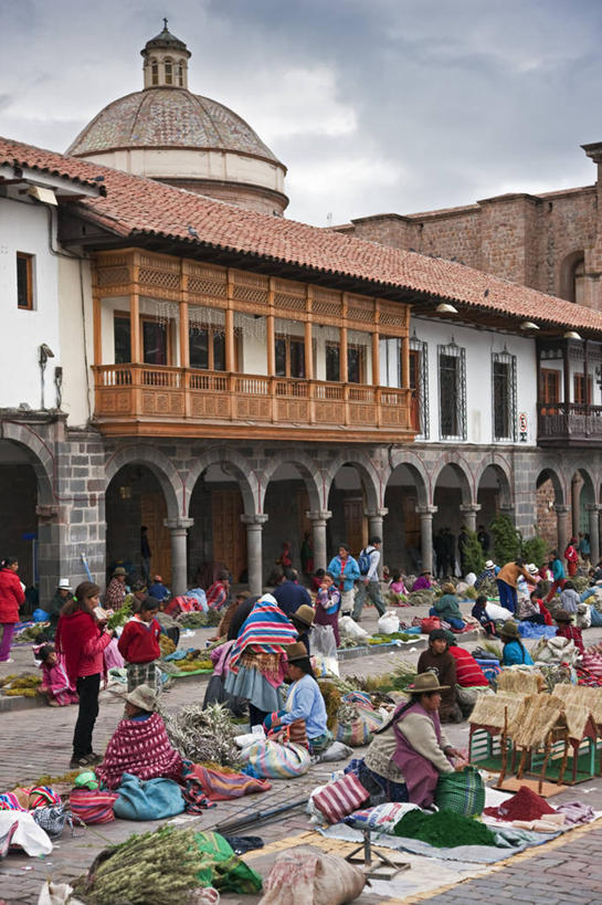 竖图,植物,叶子,秘鲁,废墟,红色,地标建筑,南美,摄影,拉丁美洲,马丘比丘,彩图,旅行,联合国教科文组织,附生植物