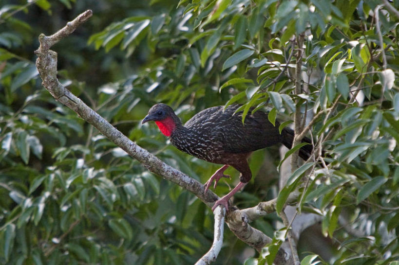 无人,横图,摩天大楼,乌兹别克斯坦,亚洲,花纹,装饰,瓷砖,图案,墙,塔,陶瓷制品,地标建筑,摄影,尖塔,伊斯兰教,中亚,宗教建筑,清真寺,建筑材料,丝绸之路,彩图,巷,羊毛地毯