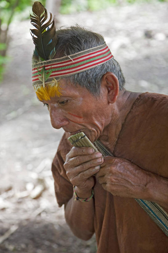 一个人,竖图,室外,野生动物,猴子,亚马逊河,秘鲁,树,动物,南美,摄影,拉丁美洲,热带雨林,灵长目,松鼠猴,彩图,旅行,林区,雨林