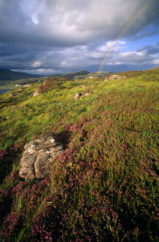 无人,竖图,室外,彩虹,湖,美景,英国,欧洲,地形,景观,旷野,天气,欧盟,苏格兰,自然,黄昏,景色,摄影,自然风光,苏格兰高地,石南花,韦斯特罗斯,彩图,旅行