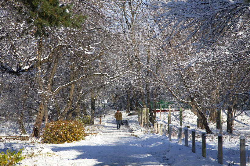 无人,公园,横图,室外,山,雪,冰,冬天,寒冷,摄影,彩图,旅行,柱头,独联体