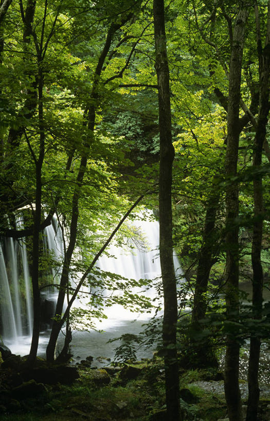 无人,横图,室外,河流,瀑布,水,英国,风景,摄影,流动,国家公园,威尔士,死水,彩图,布雷肯