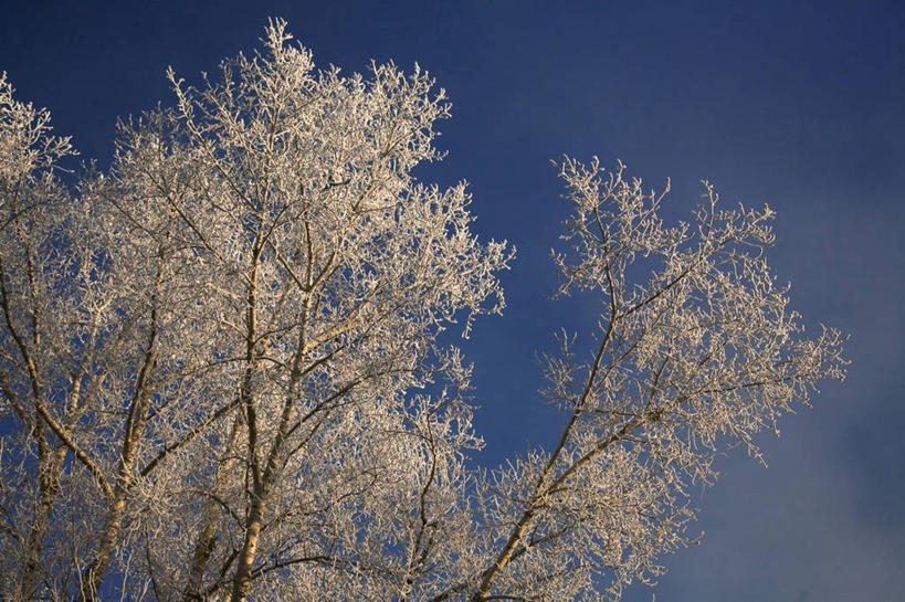 无人,酒吧,横图,窗户,建筑,英国,标志,小旅馆,摄影,凸窗,威尔士,铁艺,弗林特郡,设计,彩图,传统文化