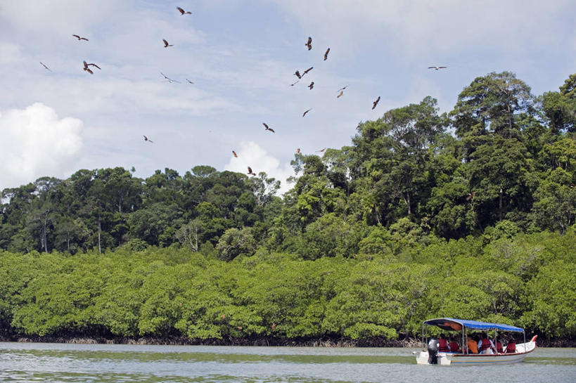 无人,横图,室外,旅游,探险,海洋,水,船,马来西亚,亚洲,行人,游客,游人,鸟类,地形,飞,路人,旅客,风景,自然,风筝,摄影,东南亚,观看,海鹰,浮罗交怡岛,过客,吉打州,栗鸢,彩图,旅行,马来文化