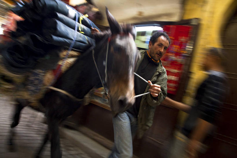 成年人,横图,运动模糊,街道,马,非洲,摩洛哥,北,摄影,费兹,摩洛哥文化,男人,男性,彩图,旅行