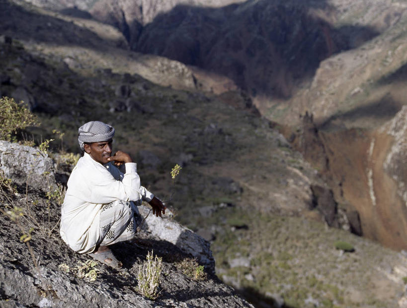成年人,一个人,坐,横图,室外,旅游,度假,峡谷,也门,仅一个男性,阴影,地形,山谷,娱乐,风景,自然,享受,休闲,放松,摄影,印度洋,沟壑,男人,群岛,彩图