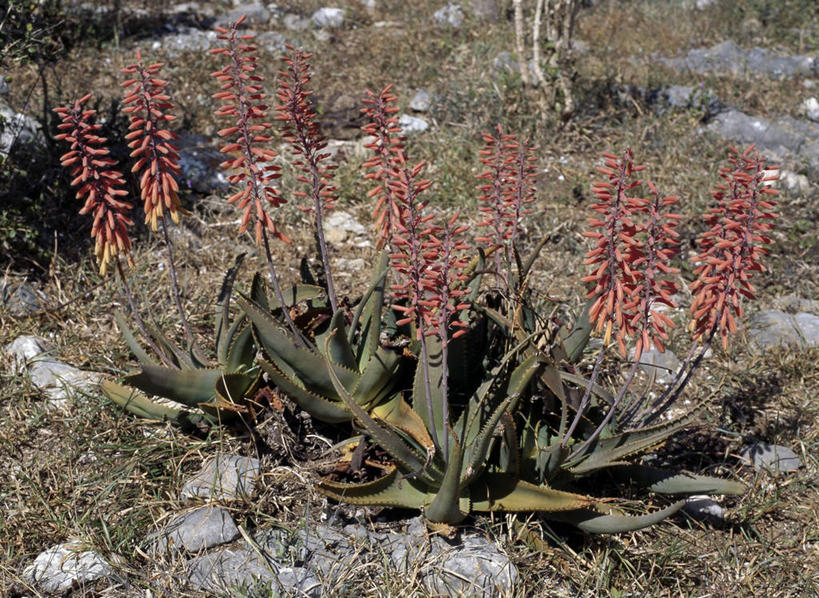 成年人,一个人,坐,竖图,室外,旅游,度假,峡谷,也门,仅一个男性,阴影,地形,山谷,娱乐,风景,自然,享受,休闲,放松,摄影,印度洋,沟壑,男人,群岛,彩图