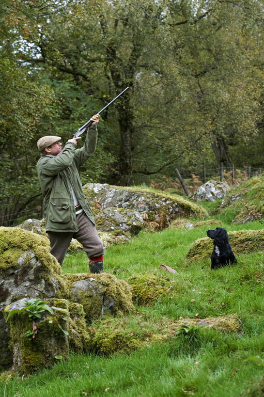 一个人,竖图,室外,射击,美景,英国,欧洲,景观,自然,猎枪,景色,摄影,西欧,自然风光,大不列颠,威尔士,斯班尼犬,大不列颠及北爱尔兰联合王国,大不列颠及爱尔兰联合王国,威尔士公国,彩图,康威自治市,大不列颠王国,大英帝国,联合王国,日不落帝国,斯诺登峰,北威尔士