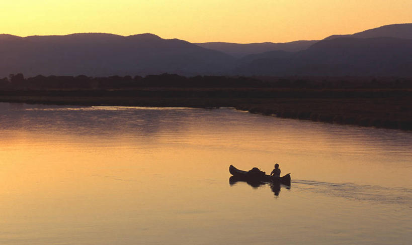 无人,竖图,室外,日出,美景,非洲,马达加斯加,景观,黎明,树,树干,自然,景色,摄影,自然风光,猴面包树,彩图