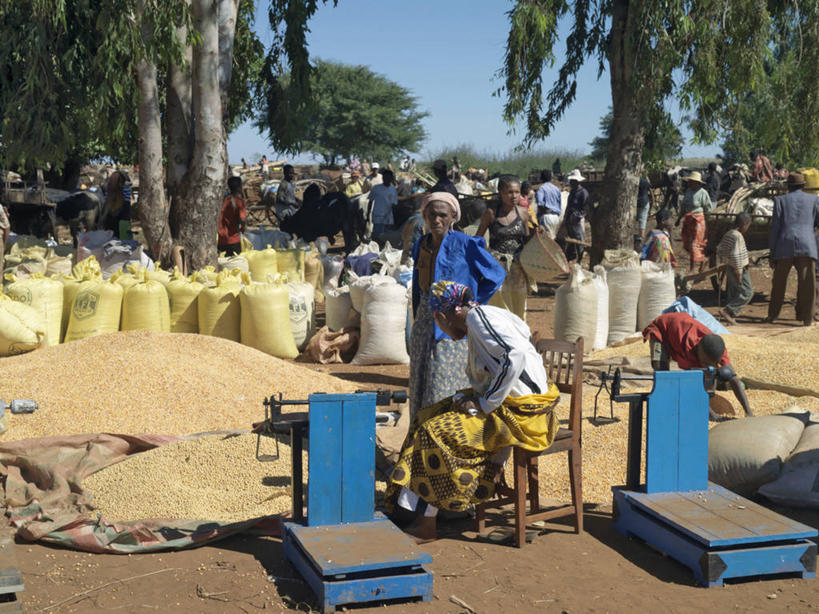 农民,横图,商务,消费,玉米,非洲,马达加斯加,市场,蓝色,社区,摄影,忙碌,比例,贸易,商人,彩图