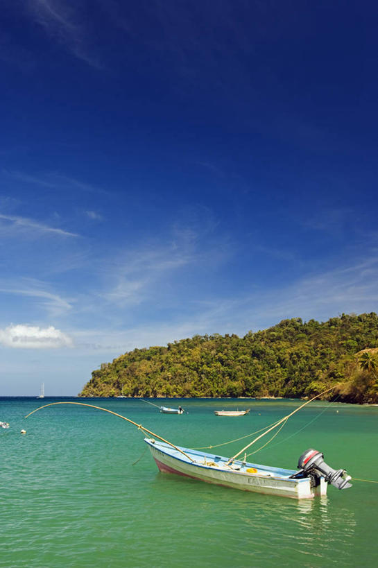 无人,码头,横图,室外,白天,海洋,水,港口,日光,加勒比海,特立尼达和多巴哥,沙子,地形,海岸线,蓝色,绿色,天空,自然,夏天,大西洋,摄影,宁静,热带气候,西印度群岛,多巴哥岛,海滩,彩图,摆渡口,埠头,渡口,渡头,港湾,海港,货运码头,口岸,商港