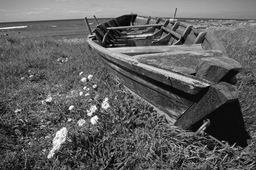 无人,农场,横图,室外,风车,瑞典,欧洲,岛,草,平原,摄影,斯堪的纳维亚,斯堪狄纳维亚半岛,彩图,波罗的海三国