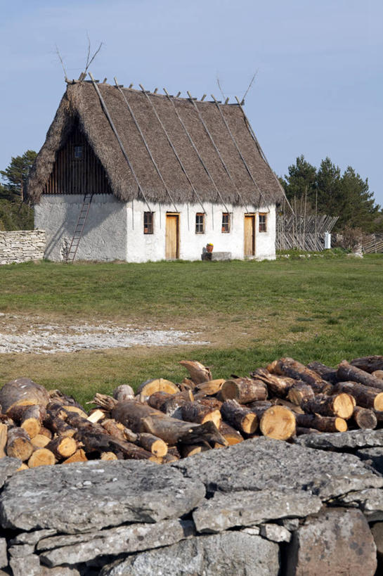 无人,农场,竖图,农业,建筑,瑞典,欧洲,房屋,岛,摄影,斯堪的纳维亚,斯堪狄纳维亚半岛,农舍,彩图,波罗的海三国