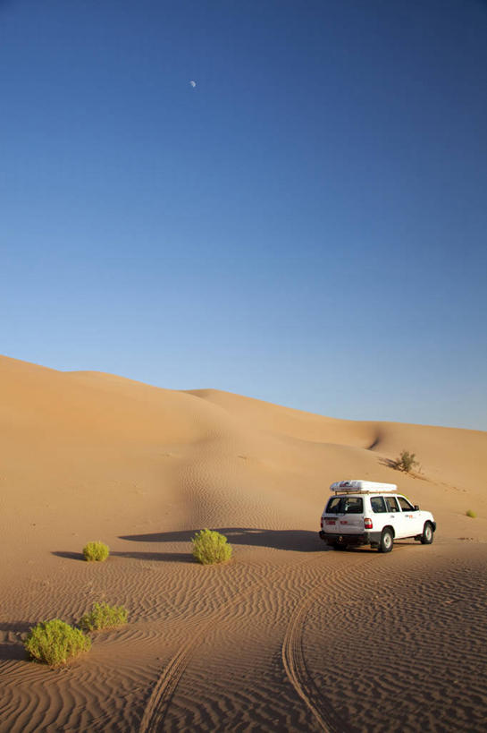 无人,竖图,室外,沙漠,阿曼,沙子,沙丘,摄影,中东,干的,四驱车,波斯湾,沙岩,彩图,阿拉伯半岛