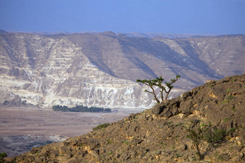 无人,横图,室外,沙漠,山,山脉,阿曼,悬崖,树,黄昏,摄影,中东,干的,波斯湾,塞拉莱,沙岩,岩石,彩图,阿拉伯半岛
