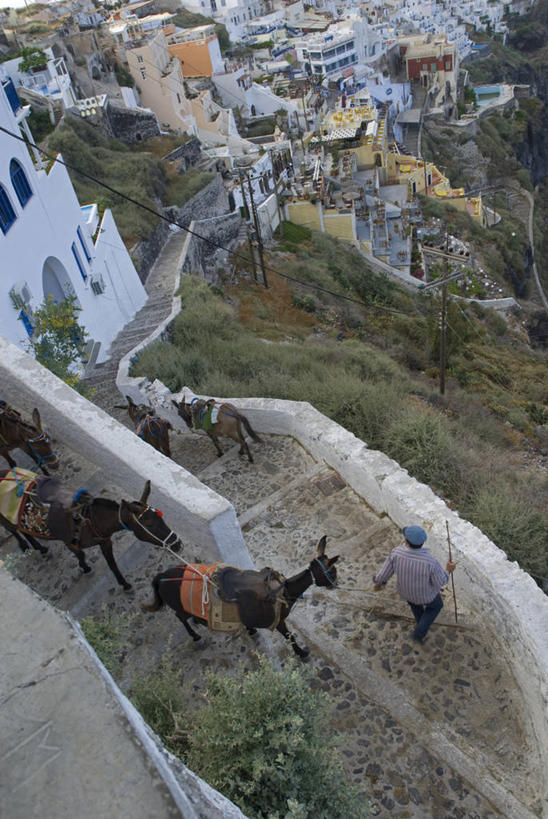竖图,室外,旅游,海洋,火山,水,建筑,酒店,希腊,欧洲,岛,悬崖,城镇,人行道,台阶,白色,风景,陡峭,摄影,住房,基克拉迪群岛,圣托里尼岛,地中海文化,骡子,发展,希腊共和国,驴子,下移,基克拉泽斯群岛,海滩,活火山,彩图,旅行,海上运输