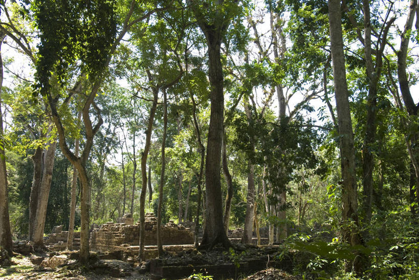 无人,广场,宫殿,横图,室外,旅游,森林,树林,建筑,雕塑,墨西哥,洪都拉斯,艺术,装饰,雕像,历史,废墟,树,地标建筑,金字塔,摄影,考古学,创造力,北美,北美洲,中美洲,美洲,手艺,玛雅文明,北亚美利加洲,亚美利加洲,洪都拉斯共和国,古代文明,美术工艺,科潘,科潘玛雅遗址,科潘遗址,彩图,旅行