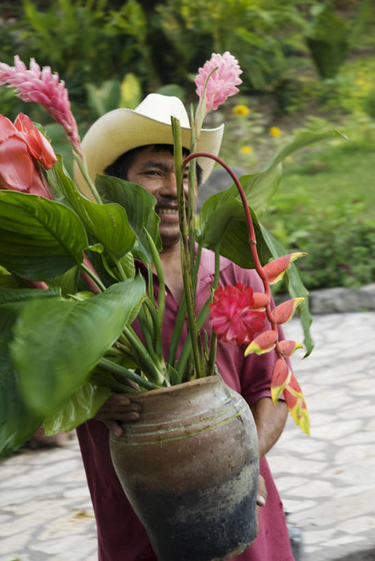 一个人,服务员,竖图,度假,植物,酒店,洪都拉斯,房屋,热,花,花束,放松,摄影,北美,北美洲,美洲,北亚美利加洲,亚美利加洲,洪都拉斯共和国,科潘,科潘玛雅遗址,科潘遗址,服务生,侍者,休闲活动,彩图,旅行