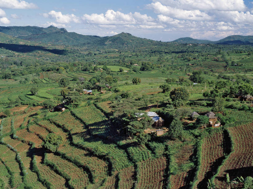 无人,竖图,室外,火山,非洲,肯尼亚,摄影,奈瓦夏湖,黑曜石,岩石,彩图,火山学