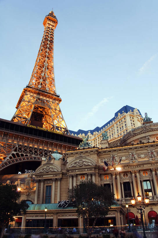 无人,横图,野生动物,非洲,肯尼亚,动物,摄影,黑犀牛,东非,濒危物种,犀牛,彩图,马赛马拉国家保护区