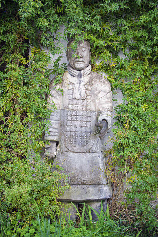 无人,横图,室外,树林,植物,枫树,叶子,日本,亚洲,地形,苔藓,台阶,树,树木,红色,绿色,自然,摄影,京都府,生长,成长,环境,东亚,本州,本州岛,日本国,近畿地方,近畿,岚山,秋天,彩图