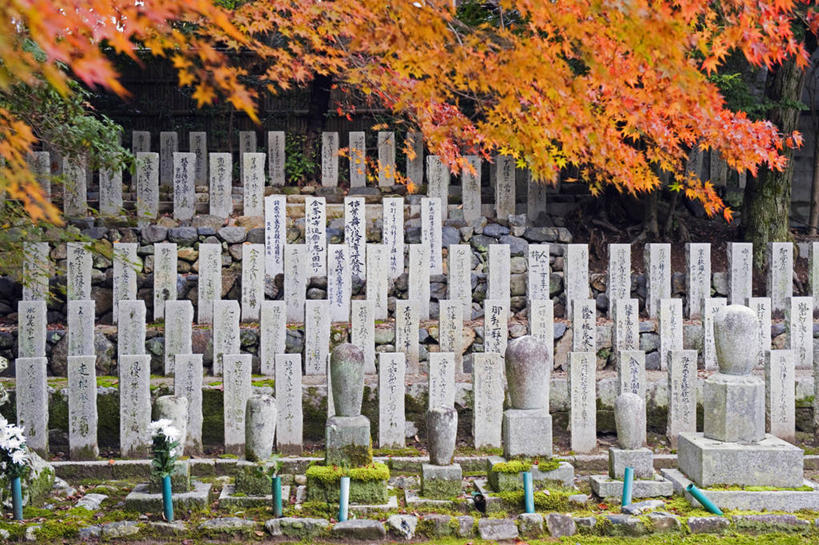 无人,横图,室外,树林,植物,枫树,叶子,日本,亚洲,地形,苔藓,台阶,树,树木,红色,绿色,自然,摄影,京都府,生长,成长,环境,东亚,本州,本州岛,日本国,近畿地方,近畿,岚山,秋天,彩图